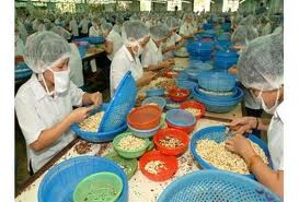 វៀតណាមជំរុញការនាំចេញទៅទីផ្សារ ហូឡង់។